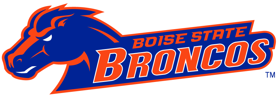 Boise State Broncos 2002-2012 Secondary Logo v22 diy DTF decal sticker